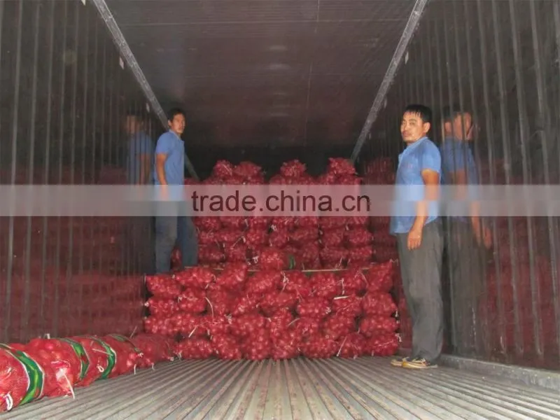 onions exporters