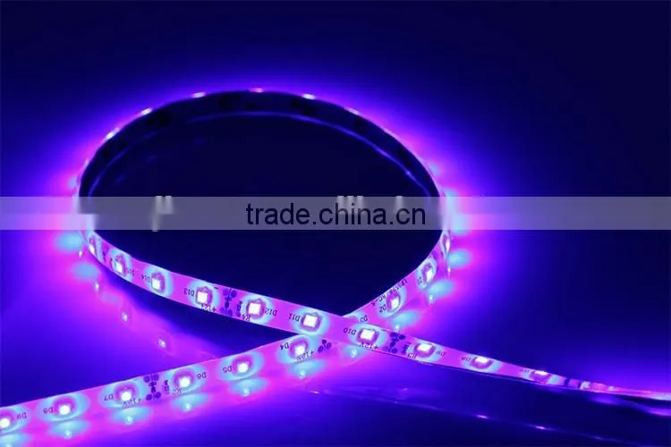 12v waterproof rgbw led strip smd 335 christmas flexible led strip light outdoor use wholesale