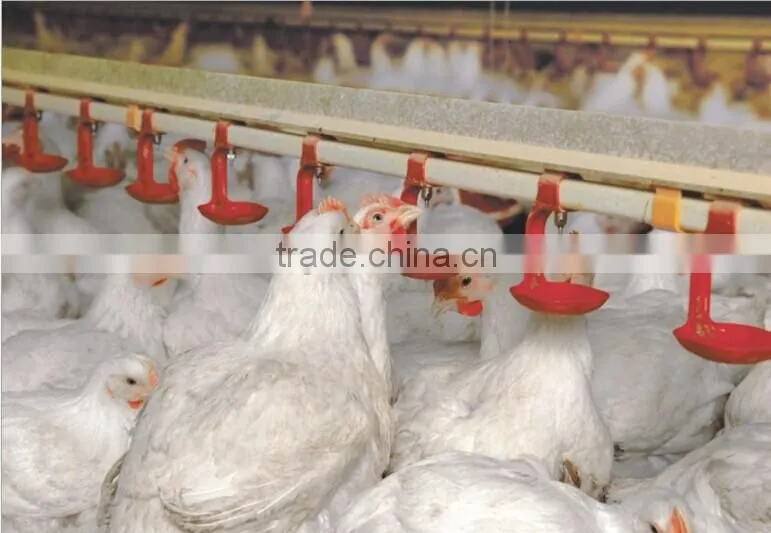 feeding pan chicken broiler equipment chicken farm