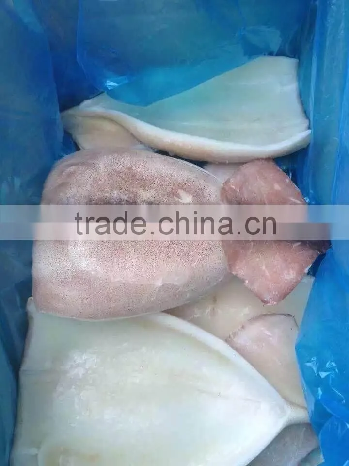2016 Newly catch fresh high quality squid fillets from China