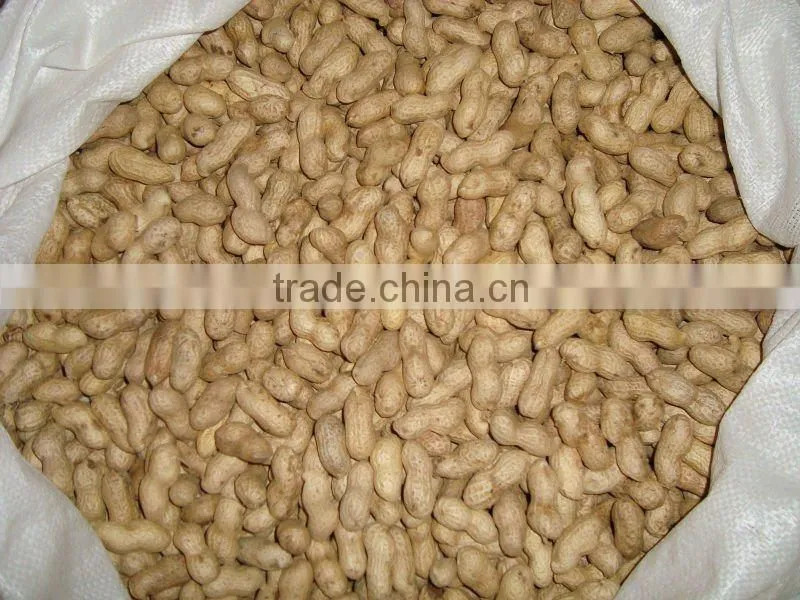 Washed Peanut in Shells 2012 crop