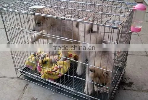 Animal Cages