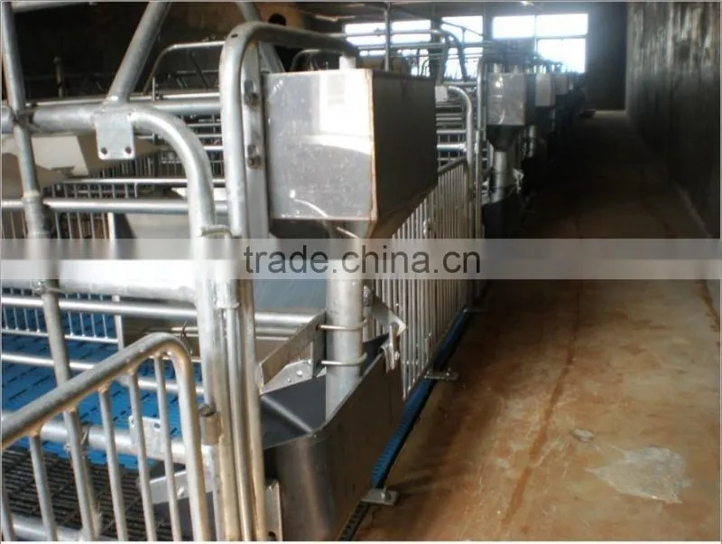 Hot galvanized Farrowing crate for pig with metal fence