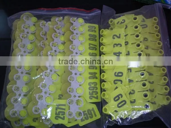 Plastic Ear tag for pig