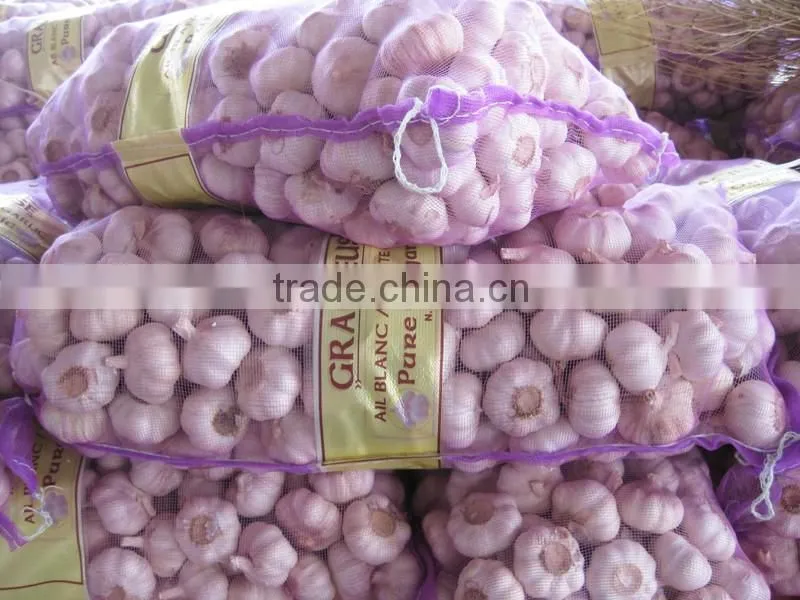 2016 fresh garlic supplier