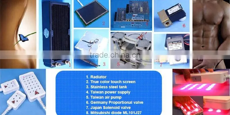 High effective multifunction cryo rf system freeze fat laser beauty equipment