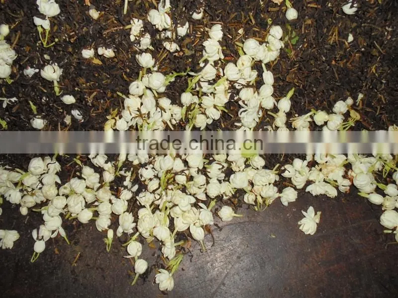 Viet nam Jasmine Green Tea