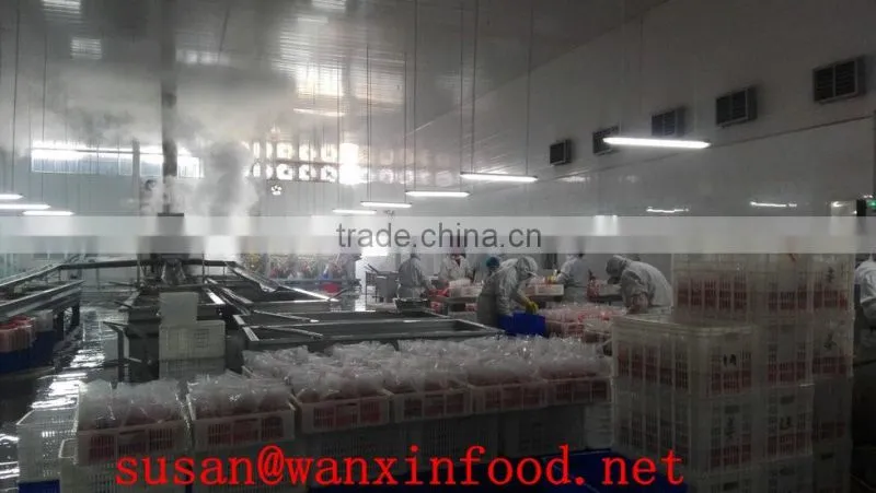 laiwu wanxin pickled ginger pink