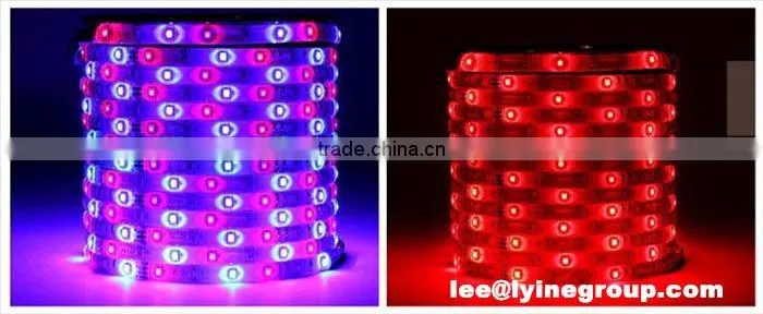 50m/Roll Waterproof flexible SMD5050 rgb Led Strip led lights manufacturing