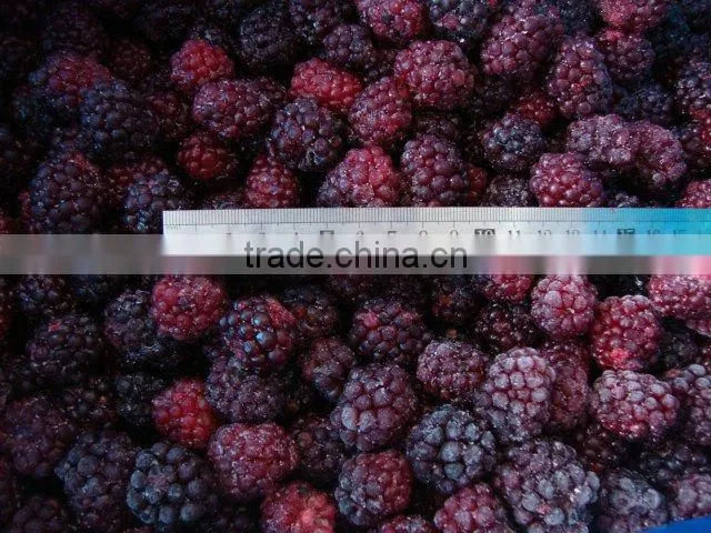 Berries Product Frozen Blackberry Grade A