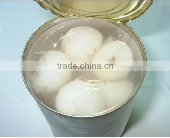 820G Canned Peaches Half in Tins