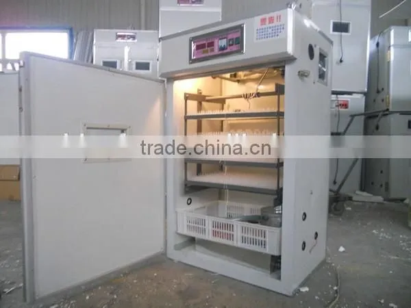 Professional mini egg incubator for sale chicken egg incubator price
