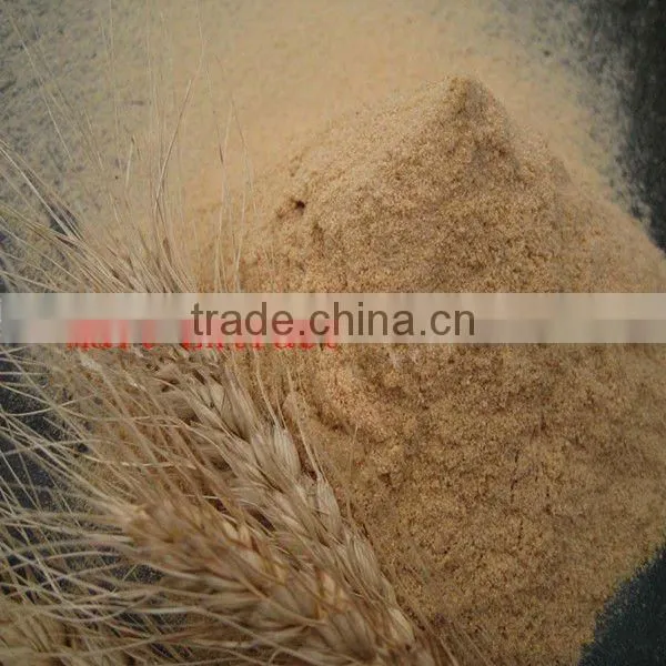 Malt Extract with High Quality