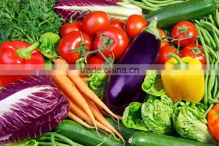 Commercial Automatic One Tank small Vegetable and Fruit Washer