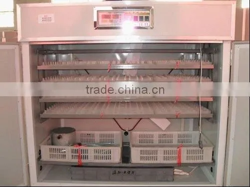 capacity 88-20000 chicken incubator eggs
