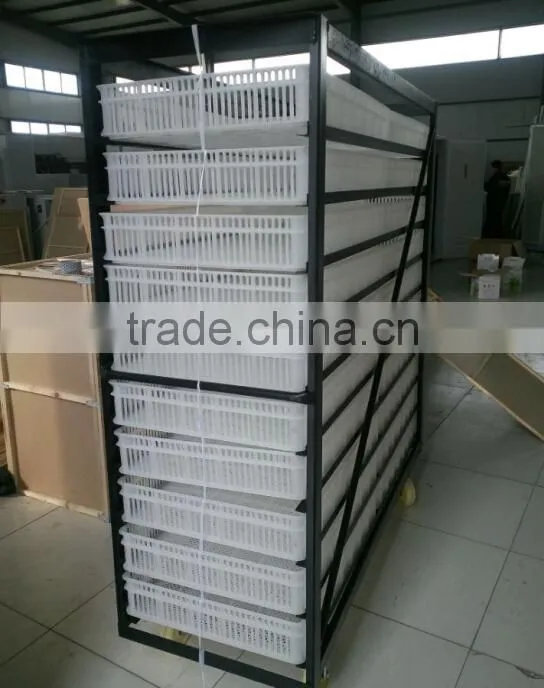 Dezhou cheap large capacity 20000 eggs automatic egg incubator