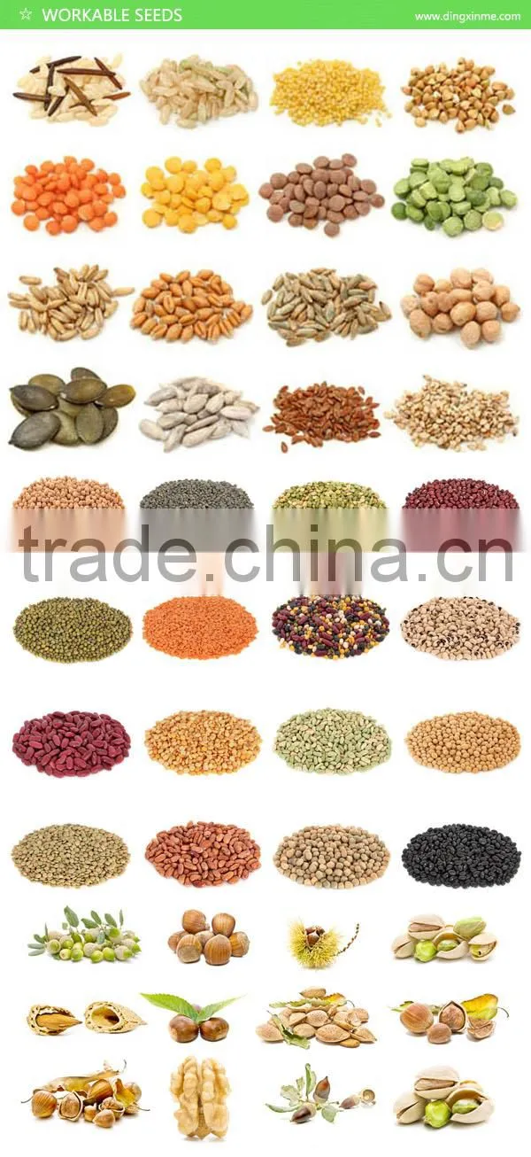 China Best Grains Seeds Processing Machinery