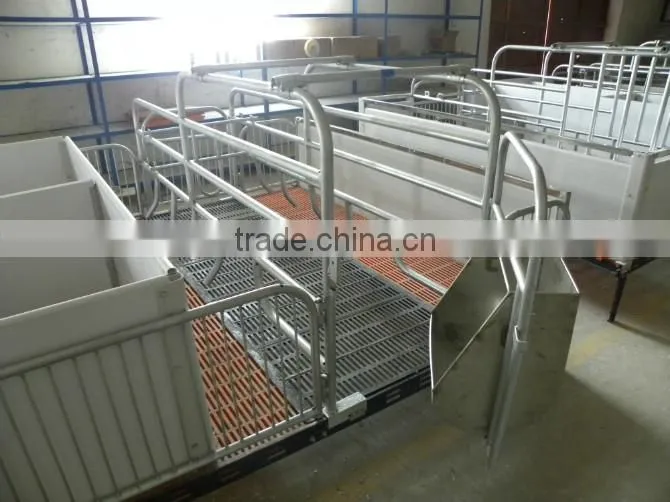 FL Sow Farrowing crate