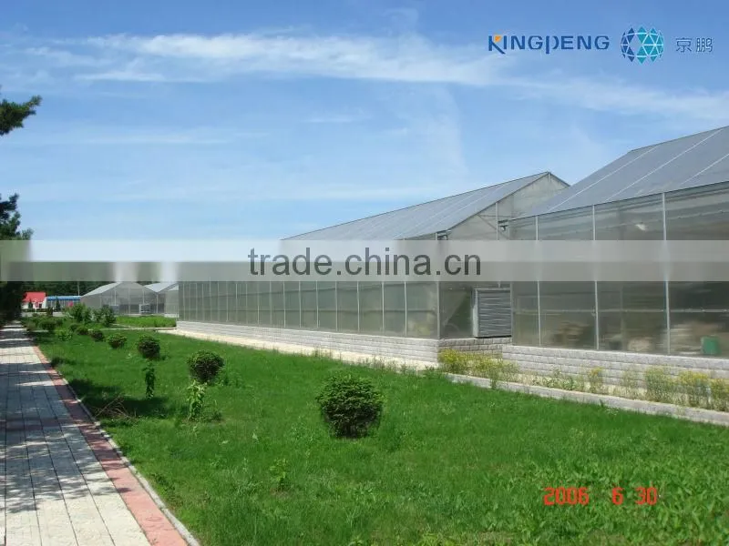 Multi Span Polycarbonate Sheet Greenhouse