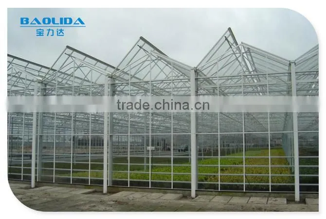 Hot Sale Agriculture Used PCsheet Greenhouse commercial used