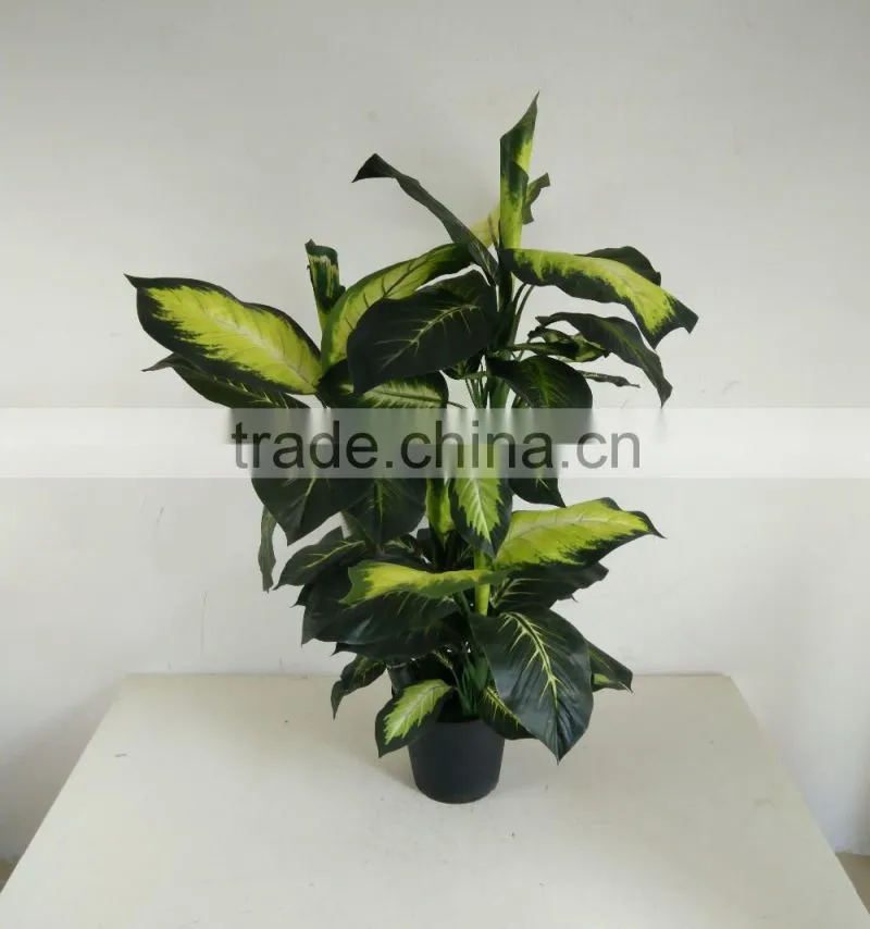 fake decorative dieffenbachia rohdea artificial evergreen wholesale