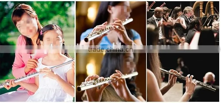Professional 16 closed hole in line G key flute in C key