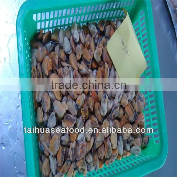 fresh water mussels