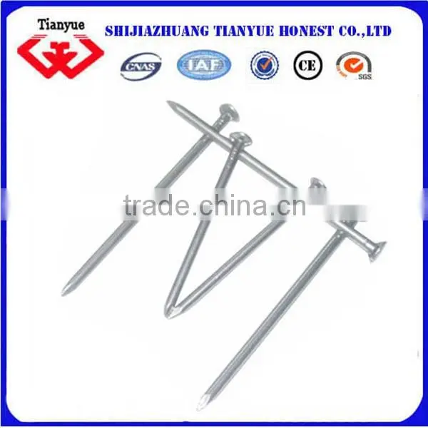 Low Price Bright Construction Common Nails Manufacturer