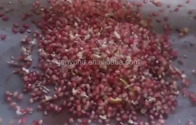 Pomegranate Seeds Peeling Machine/pomegranate Processing Machine
