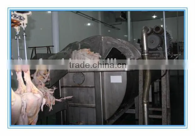goose slaughterhouse equipment/blanching machine for goose
