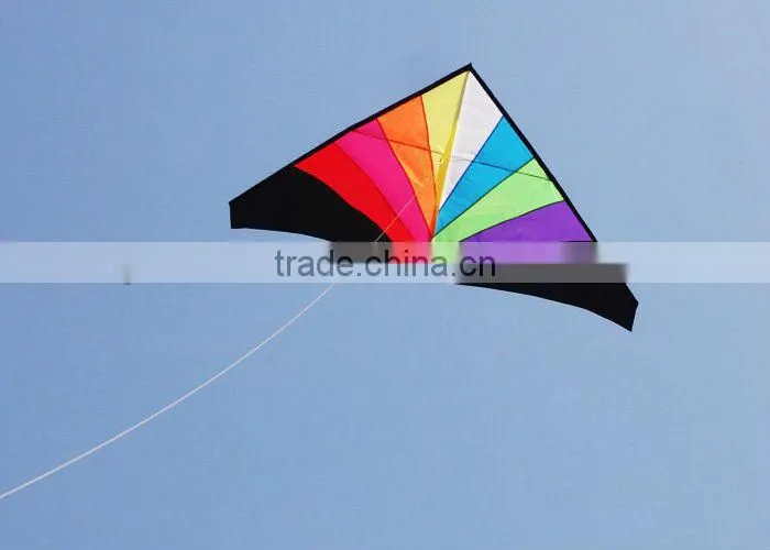 3m delta kite