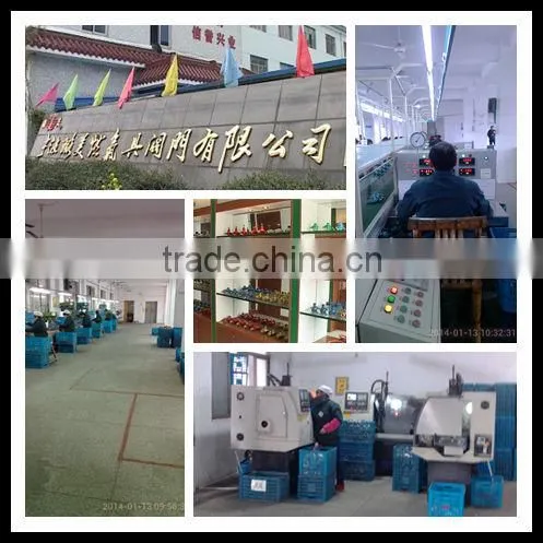 Liquid nitrogen valve, lpg gas valve with ISO9001-2008