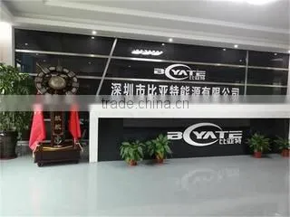 Shenzhen Biyate Energy Co., Ltd. company overview - view 1