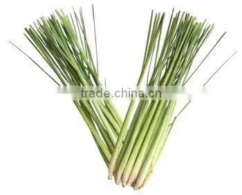 Lemongrass Essential Oils