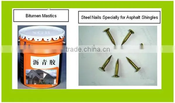Fiberglass asphalt roofing shingles/roofing nail for asphalt shingles