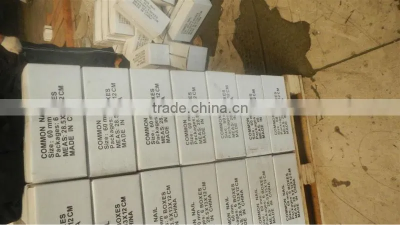 Tianjin bright common iron nail