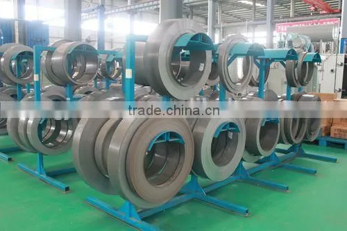 OEM Toroidal Power Transformer