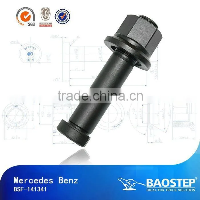 Baostep Excellent Quality Cold Forged Forged T Bolt