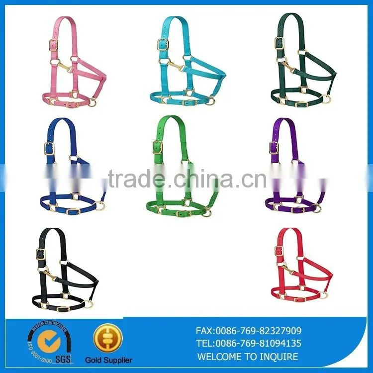 Wholesale print star neoprene horse boots