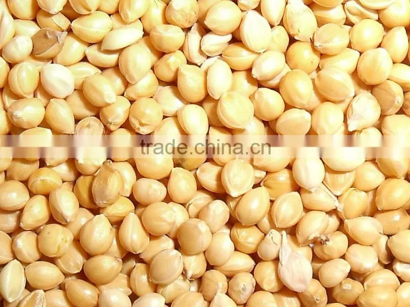 Yellow Millet In Husk Market Price