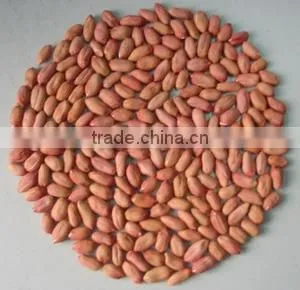 Chinese Peanut Kernel with whole price from factory