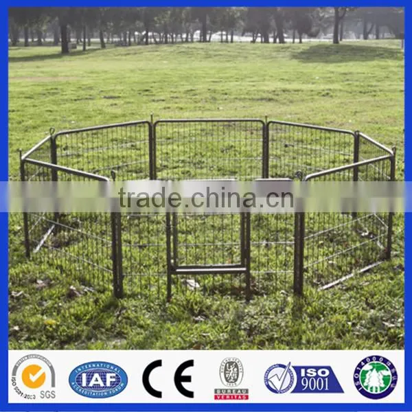 cattle paddock and horse fence