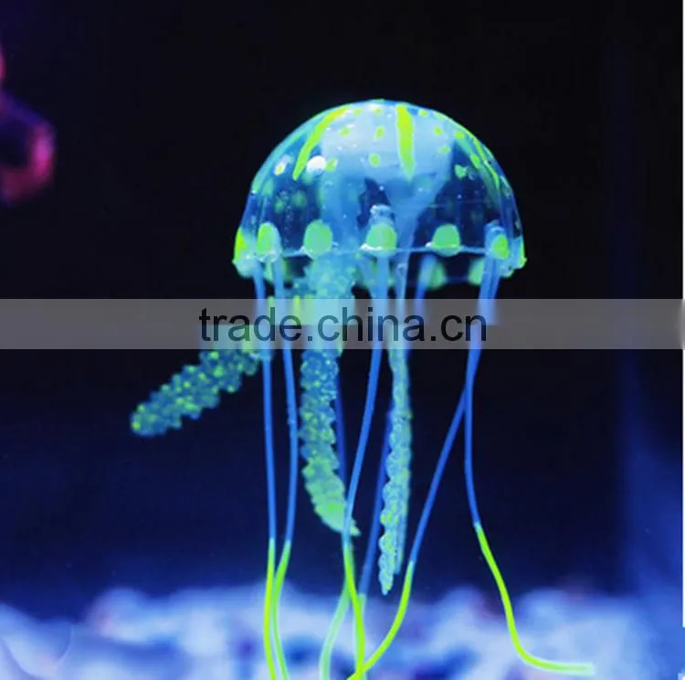 Pleasing Glass Aquarium Fish Tank