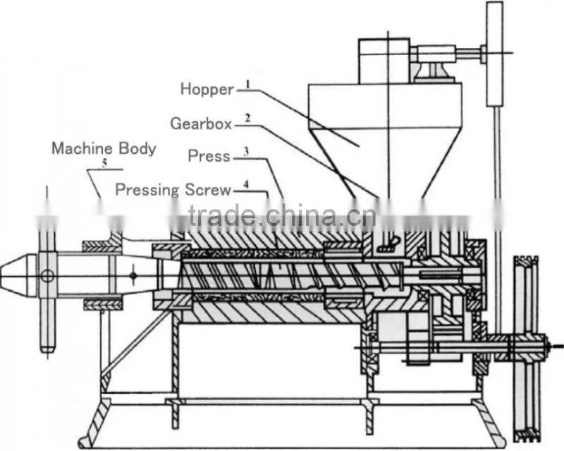 Screw press niger seed oil processing machinery with factory price