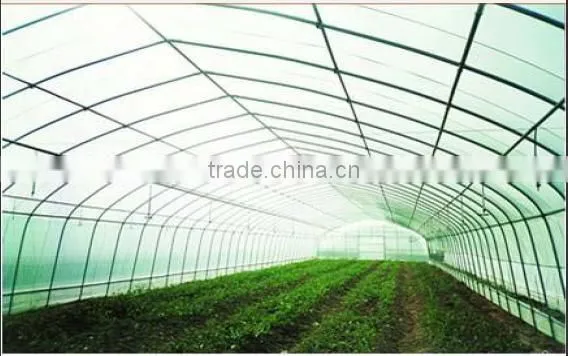 PE Greenhouse
