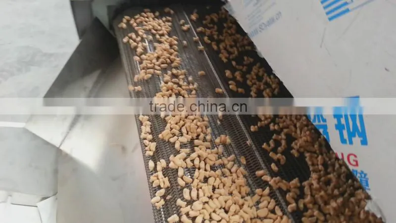 Stainless steel mesh belt dryer for snacks