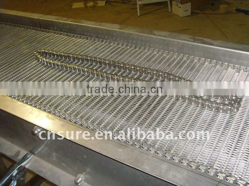 food grade belt conveyor system
