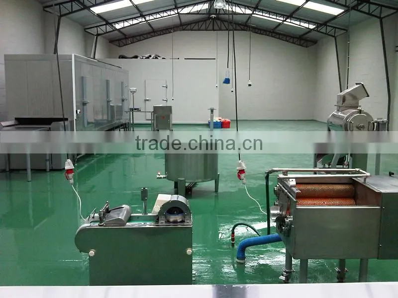 Potato Stcks Cubes Dices Tunnel Freezer