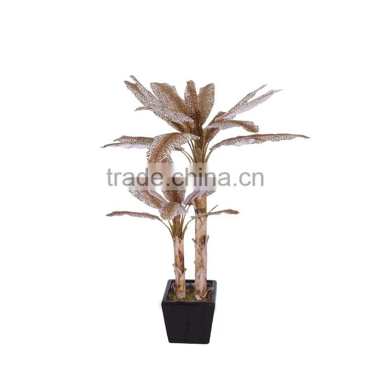 bonsai fruit tree bonsai pots chinese bonsai