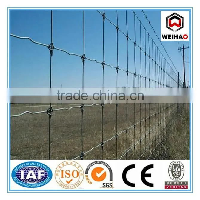 grass land fence(professional manufacturer,best price and good quality)